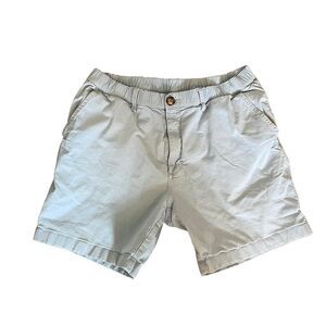 Chubbies Men's Blue and Grey Shorts